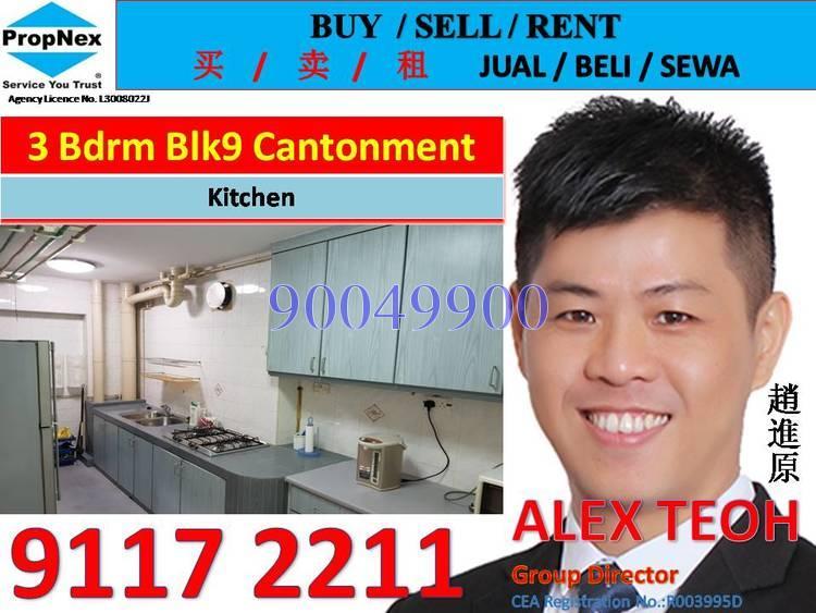 Blk 9 Cantonment Close (Bukit Merah), HDB 4 Rooms #163571112